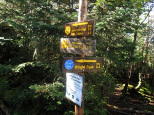 Algonquin Trail 52 Saturday September 11 2010 peak post